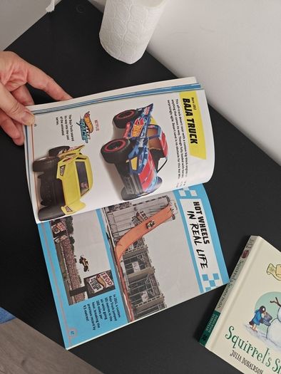 Hotwheels Ultimate Handbook