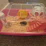 hamster and cage FREE Image 2