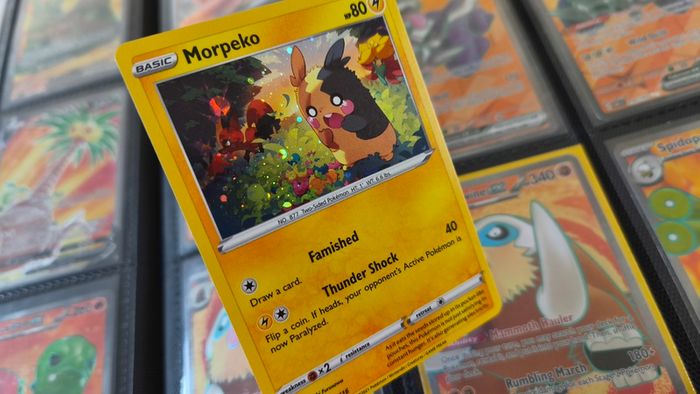 Morpeko ! Promo from Sword & Shield Era ! 2021 ! Pokemon Card !