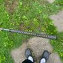 scotty cameron phantom x 9.5 Image 2