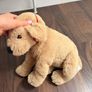 ikea dog Image 2