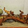 Aquarium Wood Image 7