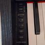 Yamaha Arius YPD-161 Digital Piano Image 4
