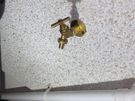 Skelly&Son Plumbing and Heating Image 4