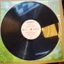 SOLD - WUBBLE-U - Petal - Indolent Records - Prog House / Breaks Image 7