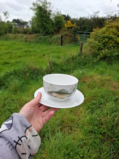Fish china gravy bowl postage possible