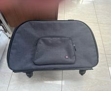 Dog carrier