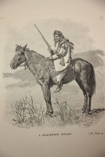 Impressions of a Tenderfoot.