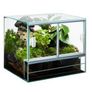 Glass Terrariums Image 4