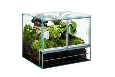 Terrariums Different Sizes