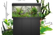 Juwel RIO 125 LED Aquarium