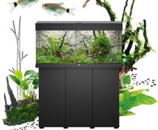 Juwel RIO 125 LED Aquarium