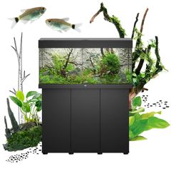 Juwel RIO 125 LED Aquarium