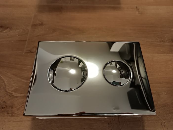 Pneumatic dual flush plate