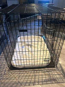 Xl dog crate with bedding