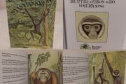The Little Gibbon Who Lost His Song, story book