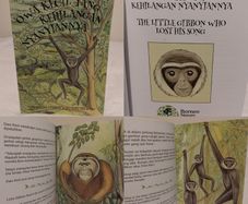The Little Gibbon Who Lost His Song, story book