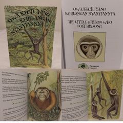 The Little Gibbon Who Lost His Song, story book
