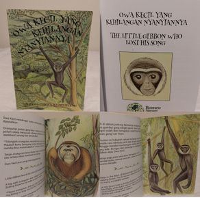 The Little Gibbon Who Lost His Song, story book