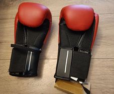 Boxing gloves - Brand new
