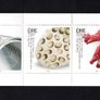 2011 Ireland Year of Craft in Ireland Commemorative Stamp Booklet Mint Never Hinged (MNH). Hibernian HB172 Image 2