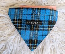 dog collar and bandana set, new. Sale