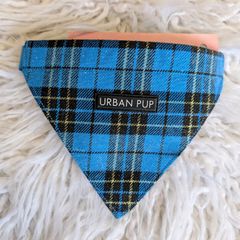 dog collar and bandana set, new. Sale