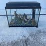 fish tank Image 3