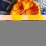 Jack Wolfskin best Image 9
