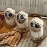 Miniature Captured Spirits in Glass Domes Image 4