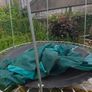 10ft trampoline Image 2