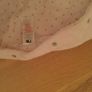 Baby girl Snow suit 0-3 months Image 3