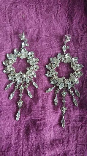 Earrings/ jewellery