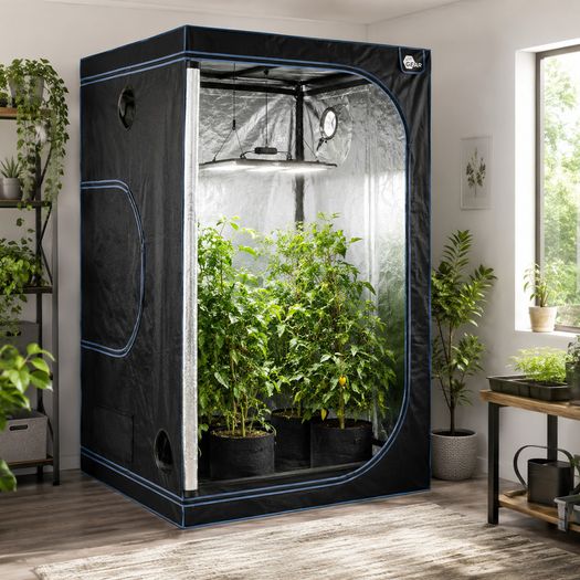 Indoor Grow Tent 120 x 120 x 200 cm Hydroponic Grow Room Plant Growing Tent Reflective Mylar Greenhouse