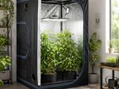 Indoor Grow Tent 120 x 120 x 200 cm Hydroponic Grow Room Plant Growing Tent Reflective Mylar Greenhouse