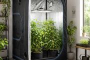 Indoor Grow Tent 120 x 120 x 200 cm Hydroponic Grow Room Plant Growing Tent Reflective Mylar Greenhouse