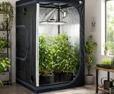 Indoor Grow Tent 120 x 120 x 200 cm Hydroponic Grow Room Plant Growing Tent Reflective Mylar Greenhouse