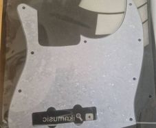 bass pick guard