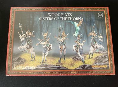 Sisters of the Thorn / Wild Riders