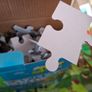 irish Wildlife 200 piece Jigsaw Puzzle Image 4