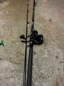 Fishing Rod & Reel