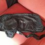 Storage/carry bag for Micro sprite scooter Image 6