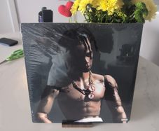 Travis Scott - Rodeo (2xLP, Album)