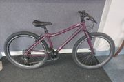Raleigh Axle