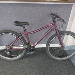 Raleigh Axle