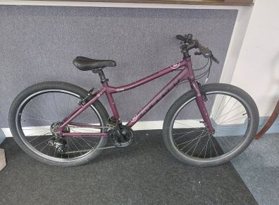 Raleigh Axle