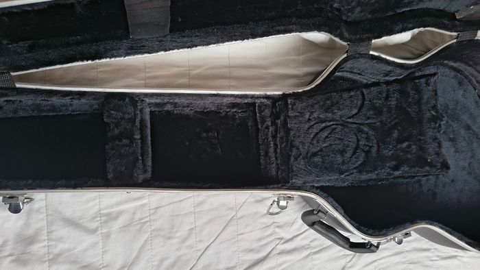 Stunning Guitar Hardshell case