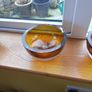Glassnow Reuced To 60.00 Image 2