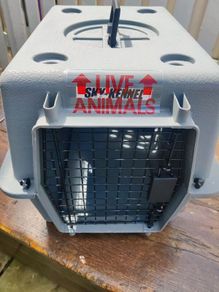 sky kennel small