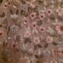 Needle & Thread Gown Image 10
